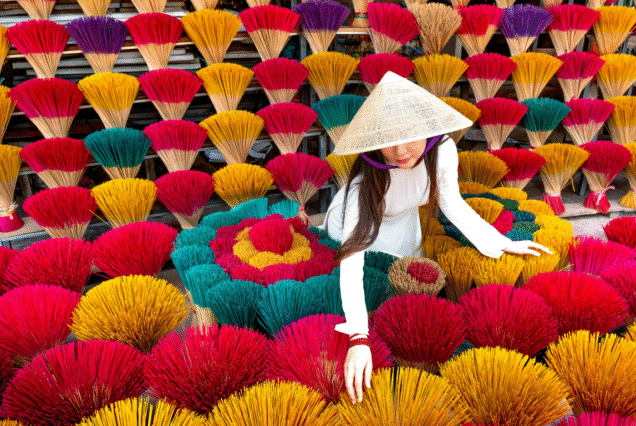 ویتنام :شکوه تمدن